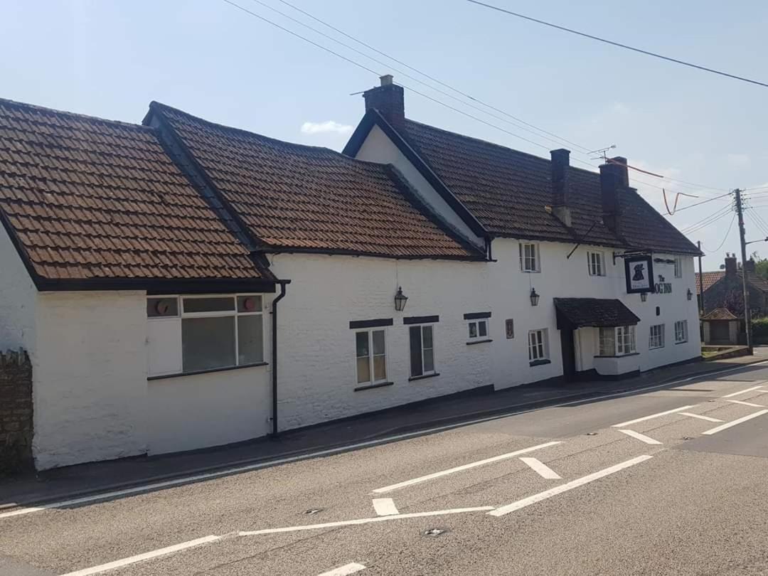 Old Sodbury The Dog Inn المظهر الخارجي الصورة